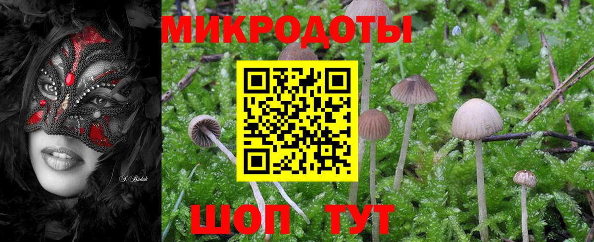 Псилоцибиновые грибы Cubensis  Вход с VPN  Ленинск-Кузнецкий  Псилоцибиновые грибы мухоморы 