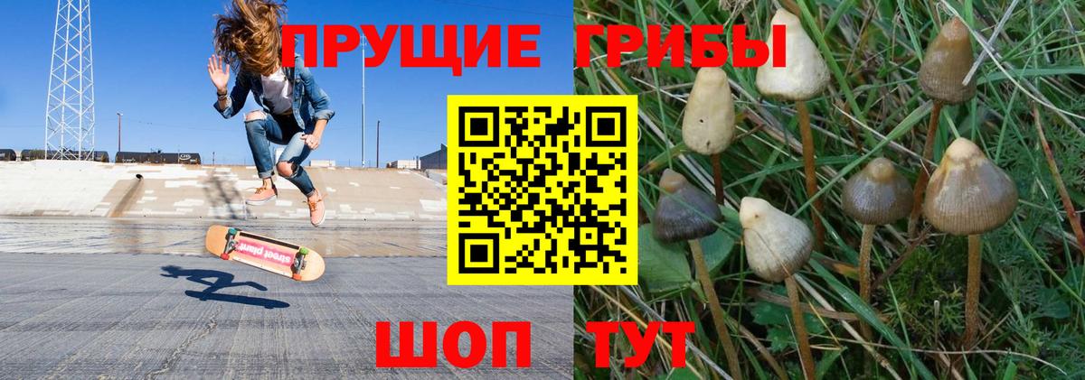 Псилоцибиновые грибы ЛСД Ленинск-Кузнецкий